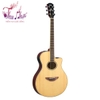 dan-guitar-acoustic-yamaha-apx600-co-eq