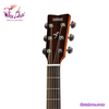 dan-guitar-yamaha-acoustic-fg800