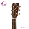 dan-guitar-acoustic-yamaha-fg800m
