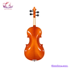violin-bong-thuong-size-3-4