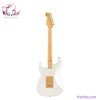 guitar-dien-tagima-tg430