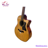 guitar-acoustic-go-thong-sitka-cedar-t400