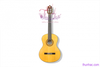 guitar-asturias-fg-50