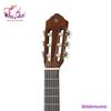dan-guitar-yamaha-classic-cgs103a