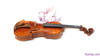 violin-shi-fen-sv401-4-4