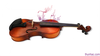 violin-hv100