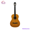 guitar-classic-victoria-vt200-vang