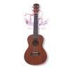 dan-ukulele-go-concert-size-23