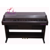piano-dien-roland-hp-5000s