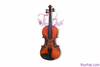 violin-hv100