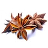 Autumn star anise
