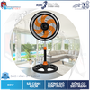 quat-lung-turbo-asiavina-vy638890
