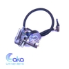 Máy bơm không khí áp lực cao 12V