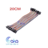 Dây cắm test borad cái cái 20cm