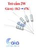 Điện trở 2W 1K2-47K