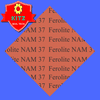 ferolite-nam-37