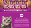 Pate cho Mèo trưởng thành Whiskas Tasty Mix 70g