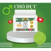 Bỉm quấn cho chó đực Kamt