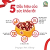 Thức Ăn Cho Chó Con Pedigree Vị Gà, Trứng Và Sữa
