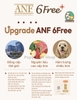 Hạt hữu cơ ANF 6Free cho chó mọi lứa tuổi vị cừu & gạo 🐑