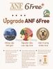 Hạt hữu cơ ANF 6Free cho chó mọi lứa tuổi