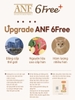 Thức ăn hạt hữu cơ ANF 6Free cho Mèo con - ANF Cat Indoor Kitten