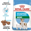 Thức ăn hạt  cho chó mẹ mang thai và chó con đến 2 tháng tuổi - Royal Canin Mini Starter Mother & BabyDog