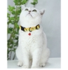 Vòng cổ hoạ tiết cho thú cưng