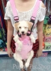  ĐỊU DA CHÓ MÈO