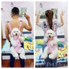 ĐỊU DA DÀNH CHO CHÓ MÈO