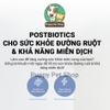 Pate Cao Cấp cho mèo Nutri Plan Premium DISH 85g