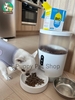 Men Tiêu Hóa Bổ Sung Sữa Non cho Chó Mèo BIOFIRST