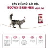 Thức ăn - Hạt cho mèo trưởng thành Today's Dinner Adult Cat 1kg