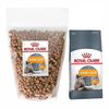 Thức ăn cho mèo chăm sóc da & lông - Royal Canin Hair & Skin