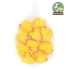 Đồ chơi vịt con âm thanh