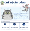 [Gói 20 thanh 14g] Súp thưởng Nutri Plan Stick cho mèo 14gx20