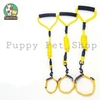 🐶Dây dắt vòng cổ Zichen cho chó mèo🐶