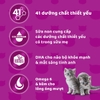 Thức ăn hạt khô cho mèo nhỏ Whiskas Junior