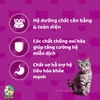 Pate cho Mèo trưởng thành Whiskas Tasty Mix 70g