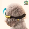 😎👓Kính carnaval rực rỡ👓🕶