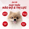 Hạt JirehO Cá hồi cho chó con