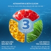 Pate viên tinh thể chức năng cho mèo lứa tuổi Faenbei, Ngon miệng, Dinh dưỡng cao 70g