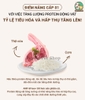 Hạt hữu cơ ANF 6Free cho chó mọi lứa tuổi