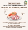 Hạt hữu cơ ANF 6Free cho chó mọi lứa tuổi