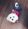 Bộ liền, Váy Hanbok Siêu Xinh - Thời Trang Tết Cho Chó Mèo