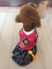 Bộ liền, Váy Hanbok Siêu Xinh - Thời Trang Tết Cho Chó Mèo