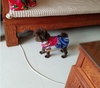 Bộ liền, Váy Hanbok Siêu Xinh - Thời Trang Tết Cho Chó Mèo