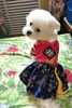 Bộ liền, Váy Hanbok Siêu Xinh - Thời Trang Tết Cho Chó Mèo