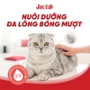 Hạt JirehO Thịt gà cho mèo