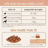 Viên Thịt Bò, Gà & Cá Hồi cho Chó Bowwow Cube Jerky Snack siêu to 800g